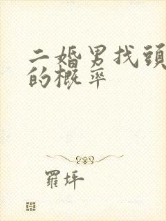 二婚男找头婚女的概率