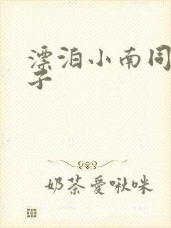 漂泊小南同人本子