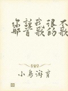 你说我很不错是哪首歌的歌词