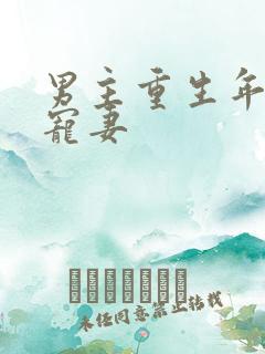 男主重生年代文宠妻