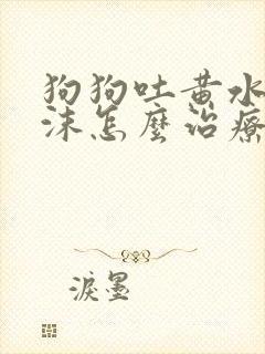 狗狗吐黄水带泡沫怎么治疗