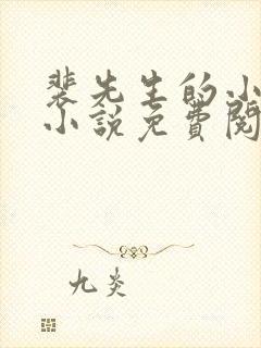 裴先生的小可怜小说免费阅读全文