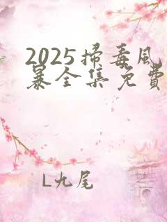 2025扫毒风暴全集免费观看