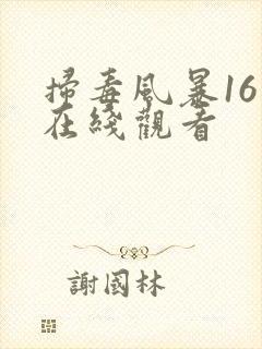 扫毒风暴16集在线观看