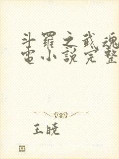 斗罗之武魂是雷电小说完整