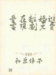 爱在离婚进行时电视剧免费观看在线播放