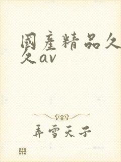 国产精品久久久久av