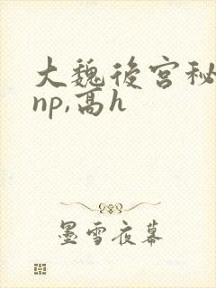 大魏后宫秘史(np,高h