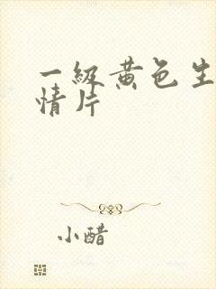 一级黄色生活爱情片