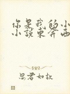 你是我的小确幸小说东奔西顾