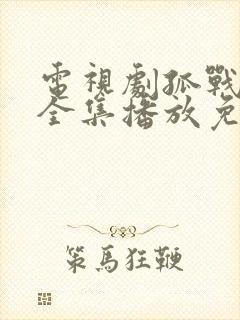 电视剧孤战迷城全集播放免费观看