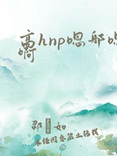 高hnp嗯哪嗯啊