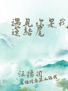 遇见你是我的幸运结尾