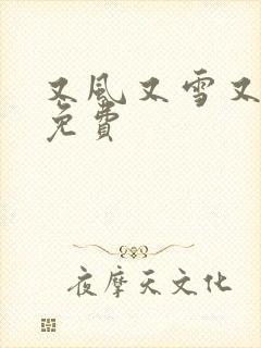 又风又雪又见月免费