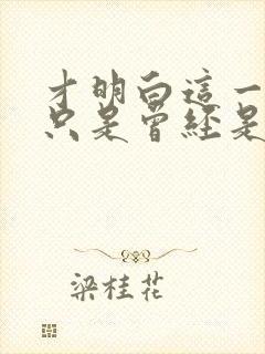 才明白这一切都只是曾经是什么歌