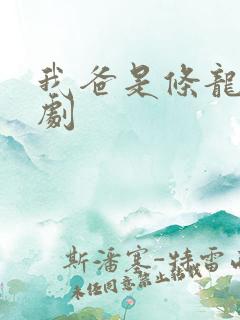 我爸是条龙电视剧