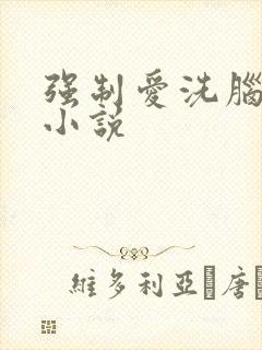 强制爱洗脑调教小说