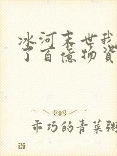 冰河末世我囤积了百亿物资番外篇