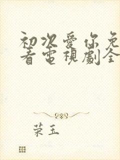 初次爱你免费观看电视剧全集