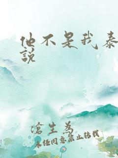 他不是我泰剧小说