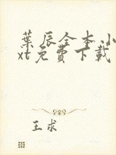 叶辰全本小说txt免费下载