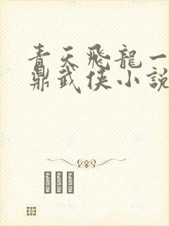 青天飞龙一上官鼎武侠小说