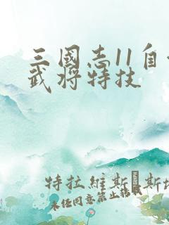 三国志11自创武将特技