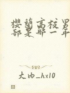 樱兰高校男公关部是哪一年的