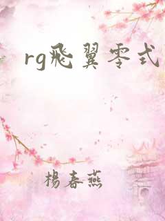 rg飞翼零式