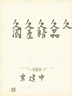 久久久久久久久国产精品