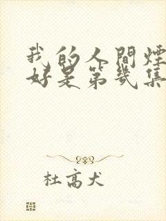 我的人间烟火和好是第几集