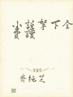 小说拿下全本免费读