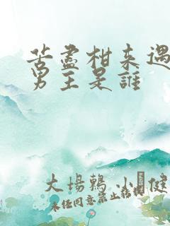 苦尽柑来遇见你男主是谁