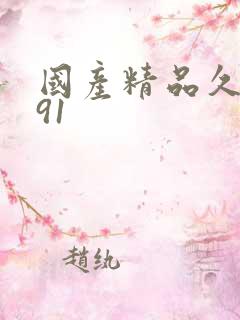 国产精品久久久91