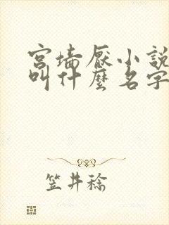 宫墙厌小说原著叫什么名字