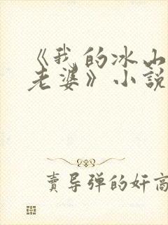《我的冰山总裁老婆》小说