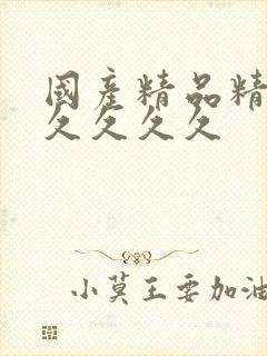 国产精品精品久久久久久