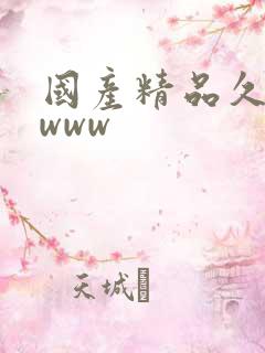 国产精品久久久www