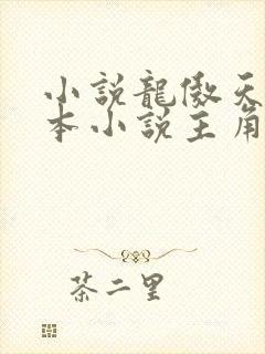 小说龙傲天是哪本小说主角