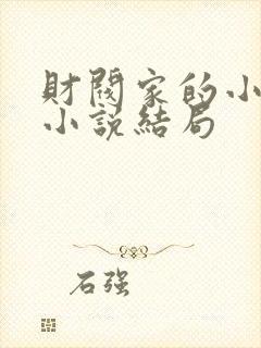 财阀家的小儿子小说结局