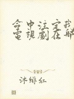 命中注定我爱你电视剧在哪里看