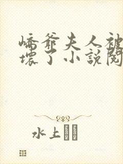 峤爷夫人被你惯坏了小说阅读