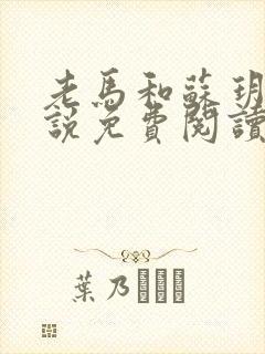 老马和苏玥玥小说免费阅读