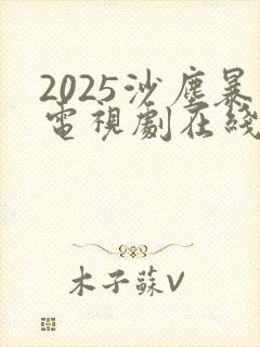 2025沙尘暴电视剧在线观看