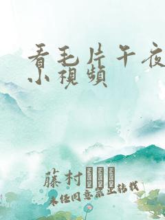 看毛片午夜手机小视频