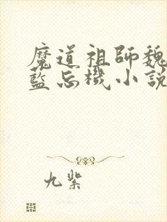 魔道祖师魏无羡蓝忘机小说全文阅读