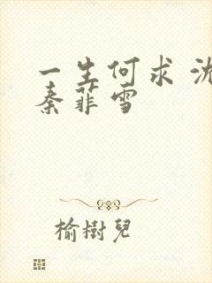 一生何求 沈浩秦菲雪