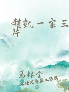 赵凯一家三口照片