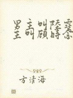 男主叫陆霆骁女主叫顾时念的小说