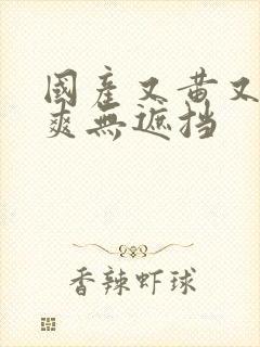 国产又黄又粗又爽无遮挡